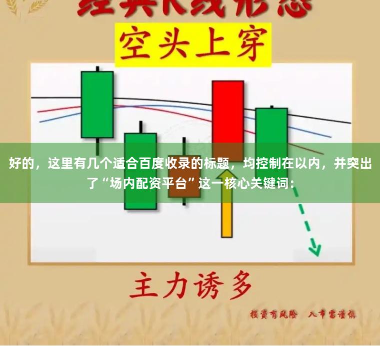 好的，这里有几个适合百度收录的标题，均控制在以内，并突出了“场内配资平台”这一核心关键词：